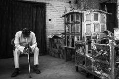 A family elder listening to the Majlis while sitting next to a taziya from last year in the courtyard. Closer to Ashura, this taziya will be decorated again and taken out in procession.