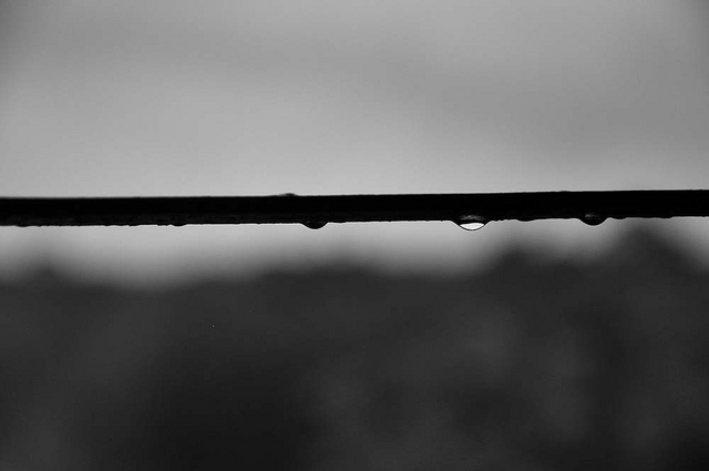 Ramadan Day 4: It rained earworms